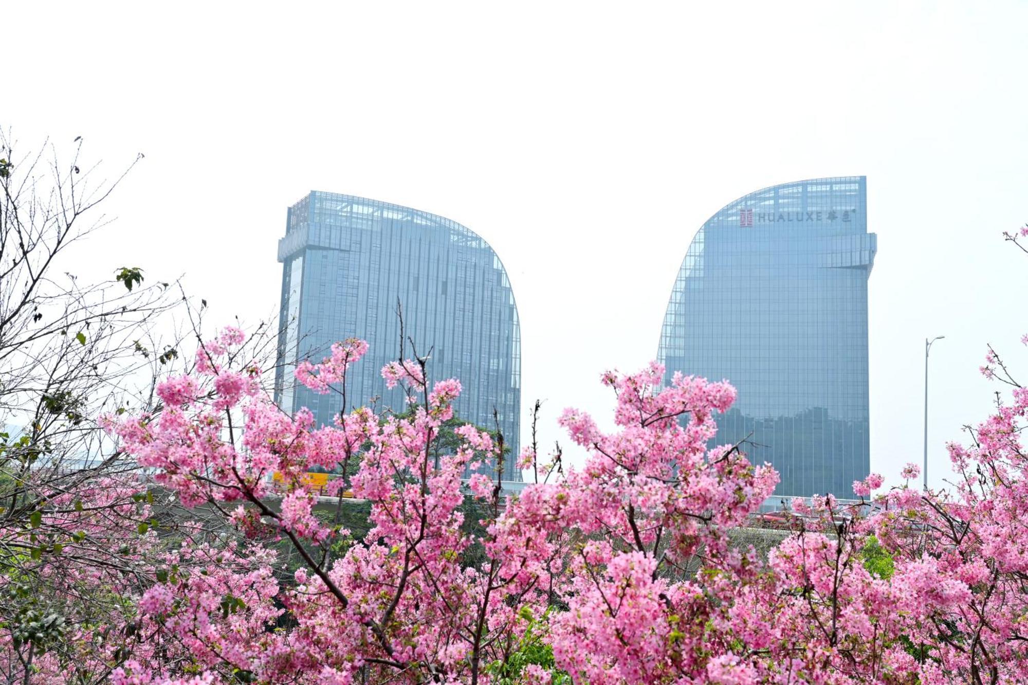 Hualuxe Xiamen Haicang Habour View Eksteriør bilde